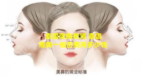 泰国隆胸微博 泰国隆胸一般的费用多少钱